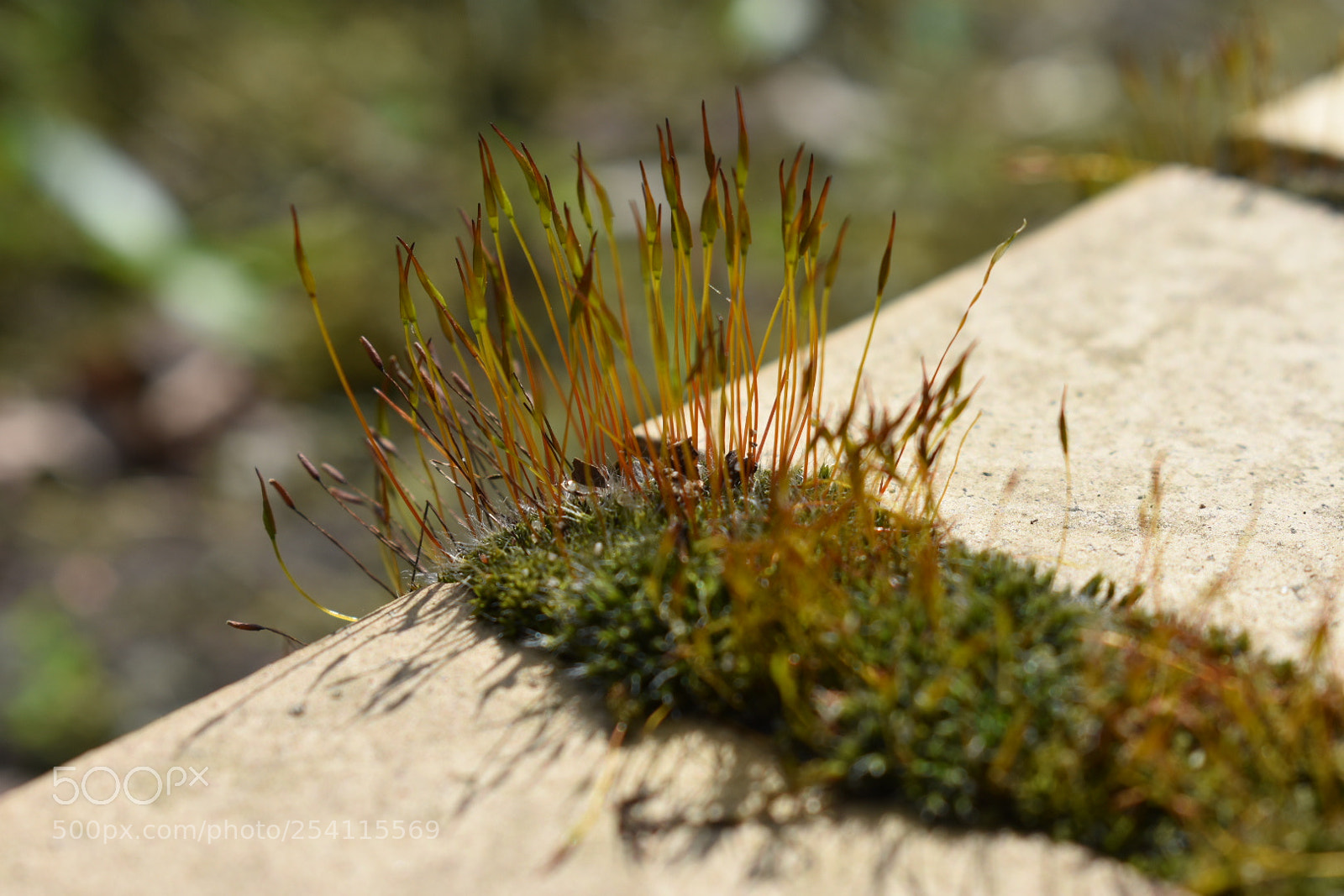 Nikon D3400 sample photo. Untitled photography