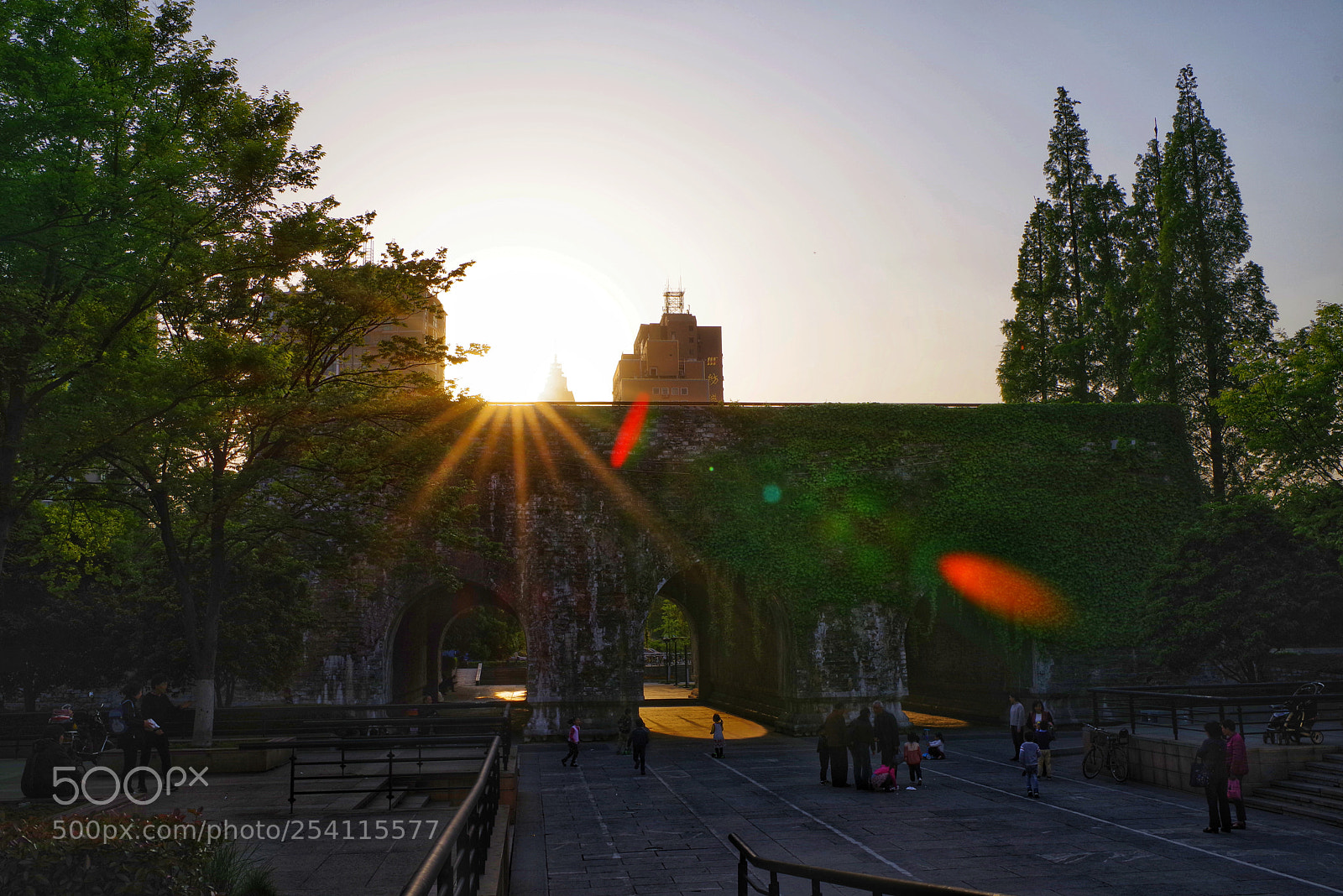 Pentax K-1 sample photo. Untitled photography
