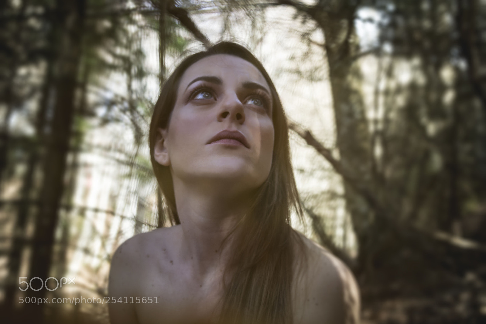 Nikon D7100 sample photo. L k photography