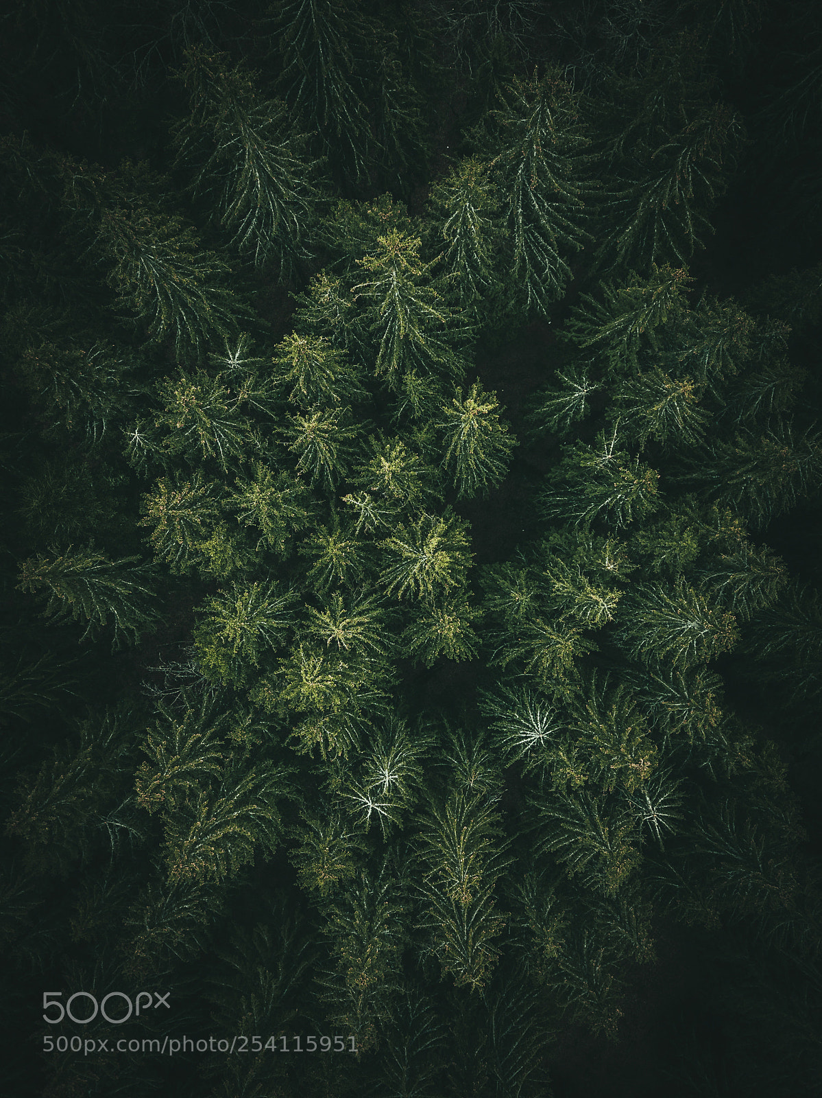 DJI FC220 sample photo. Untitled photography