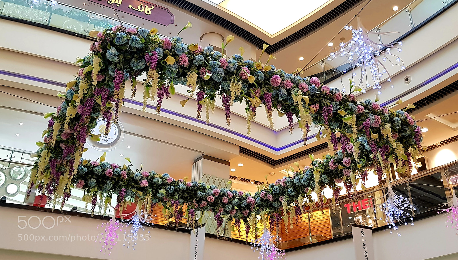Samsung Galaxy S8+ sample photo. Untitled photography