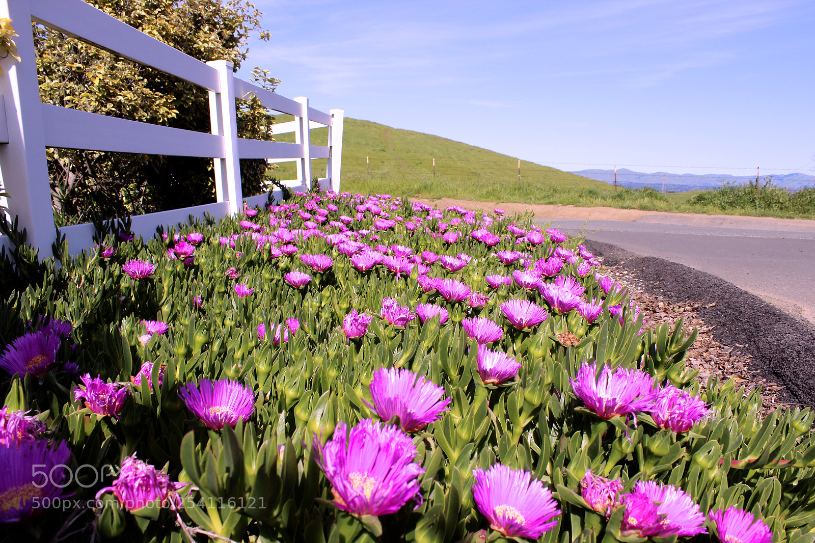 Canon EOS 600D (Rebel EOS T3i / EOS Kiss X5) sample photo. Pretty spring photography