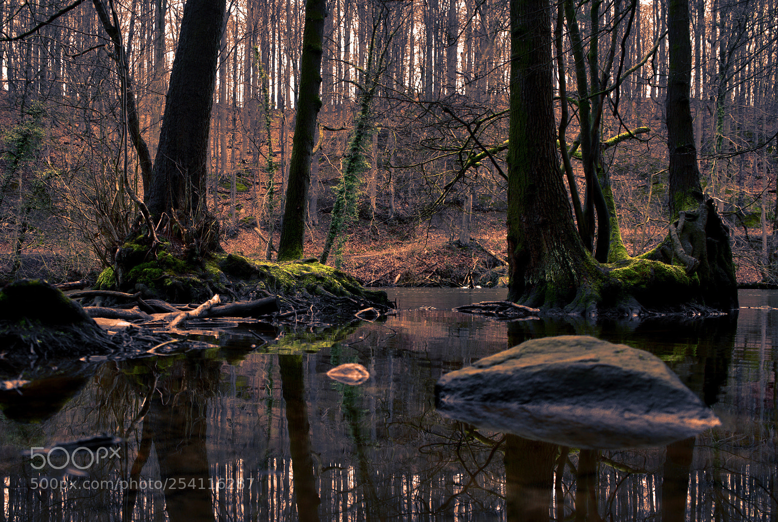 Sony a7 II sample photo. Mystery  photography