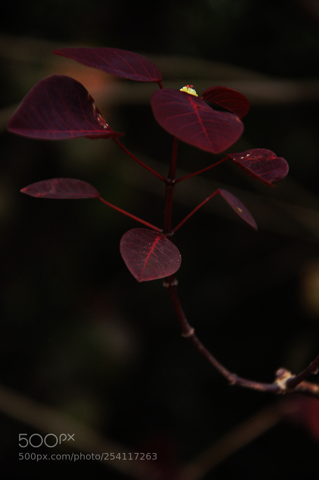 Nikon D90 sample photo. Untitled photography