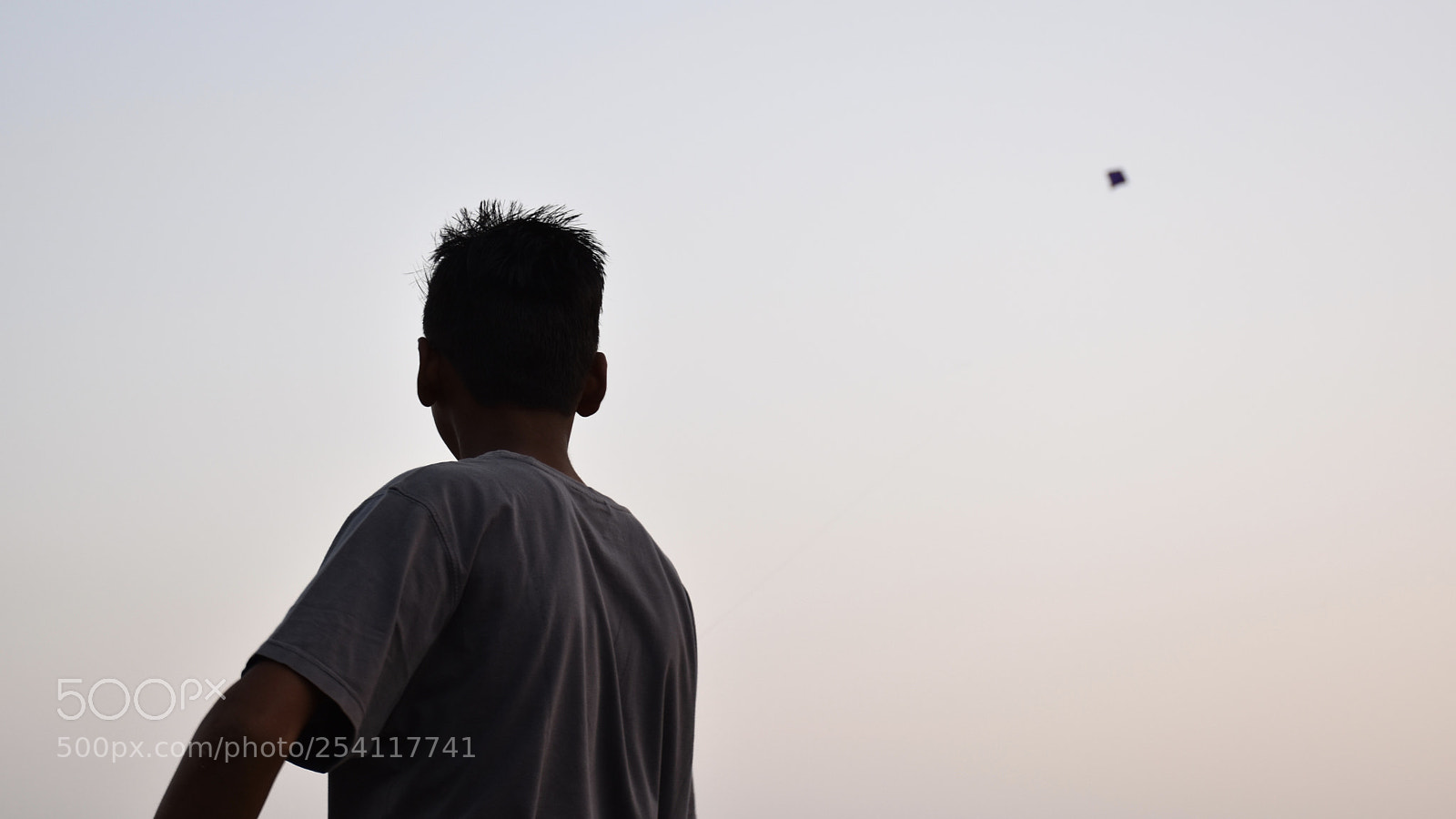 Nikon D5500 sample photo. Kite photography