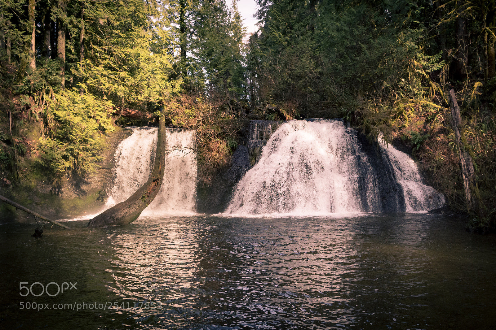 Nikon D7200 sample photo. Cherry creek falls photography