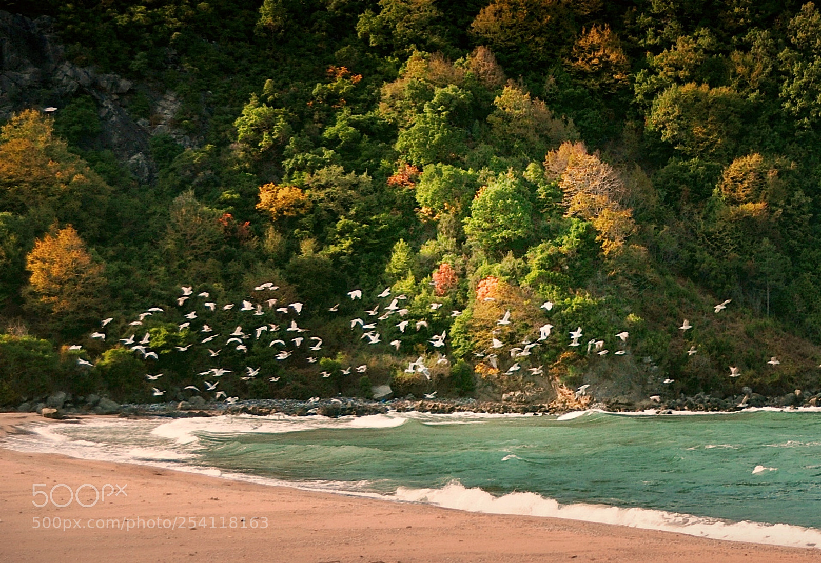 Nikon D5000 sample photo. ** photography