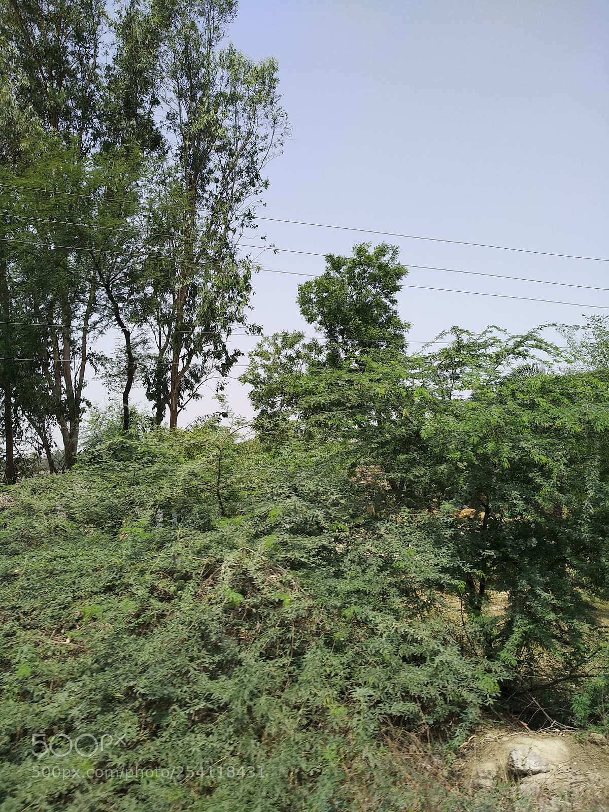 Xiaomi MI MAX 2 sample photo. Untitled photography