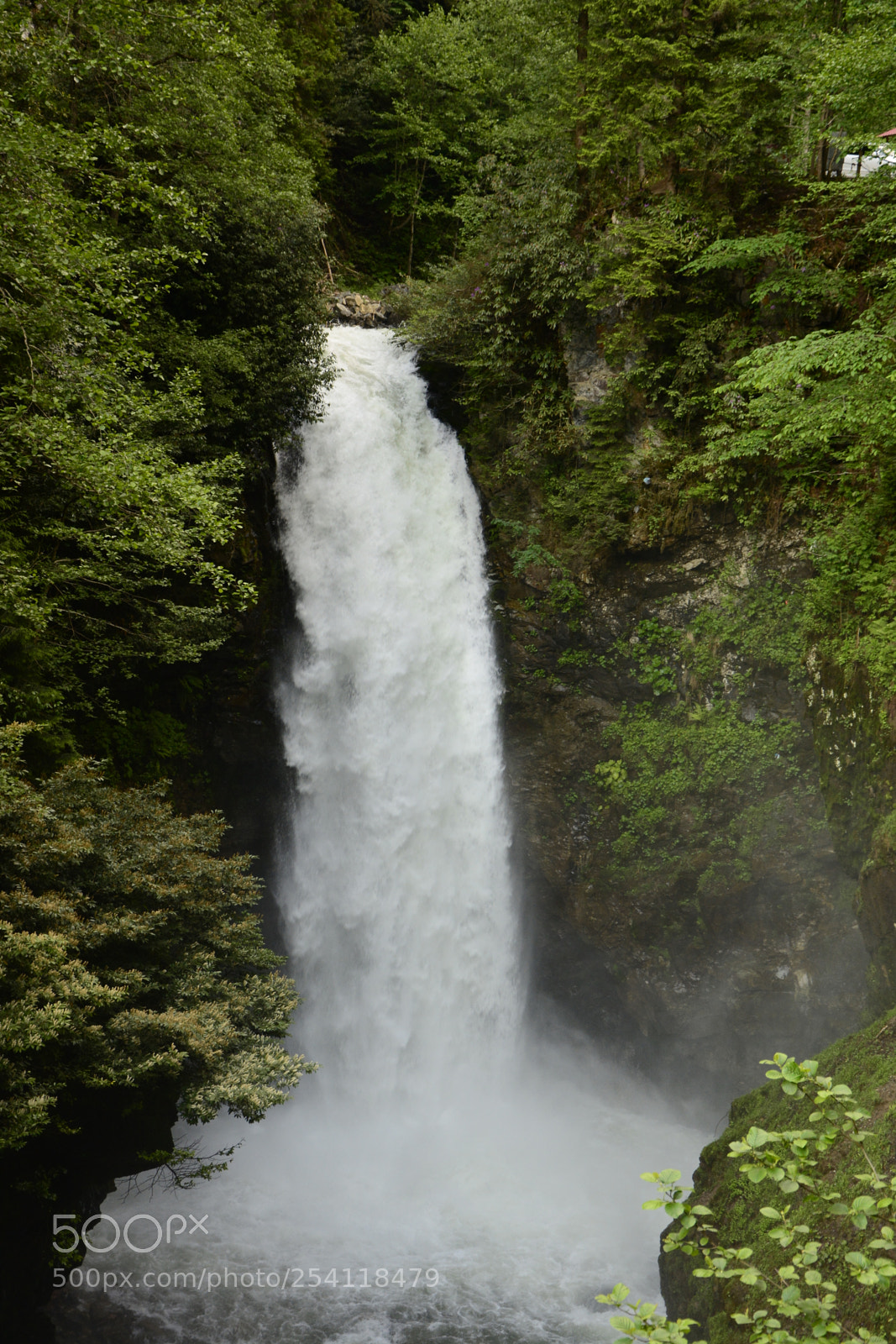 Nikon D5200 sample photo. Palovit photography