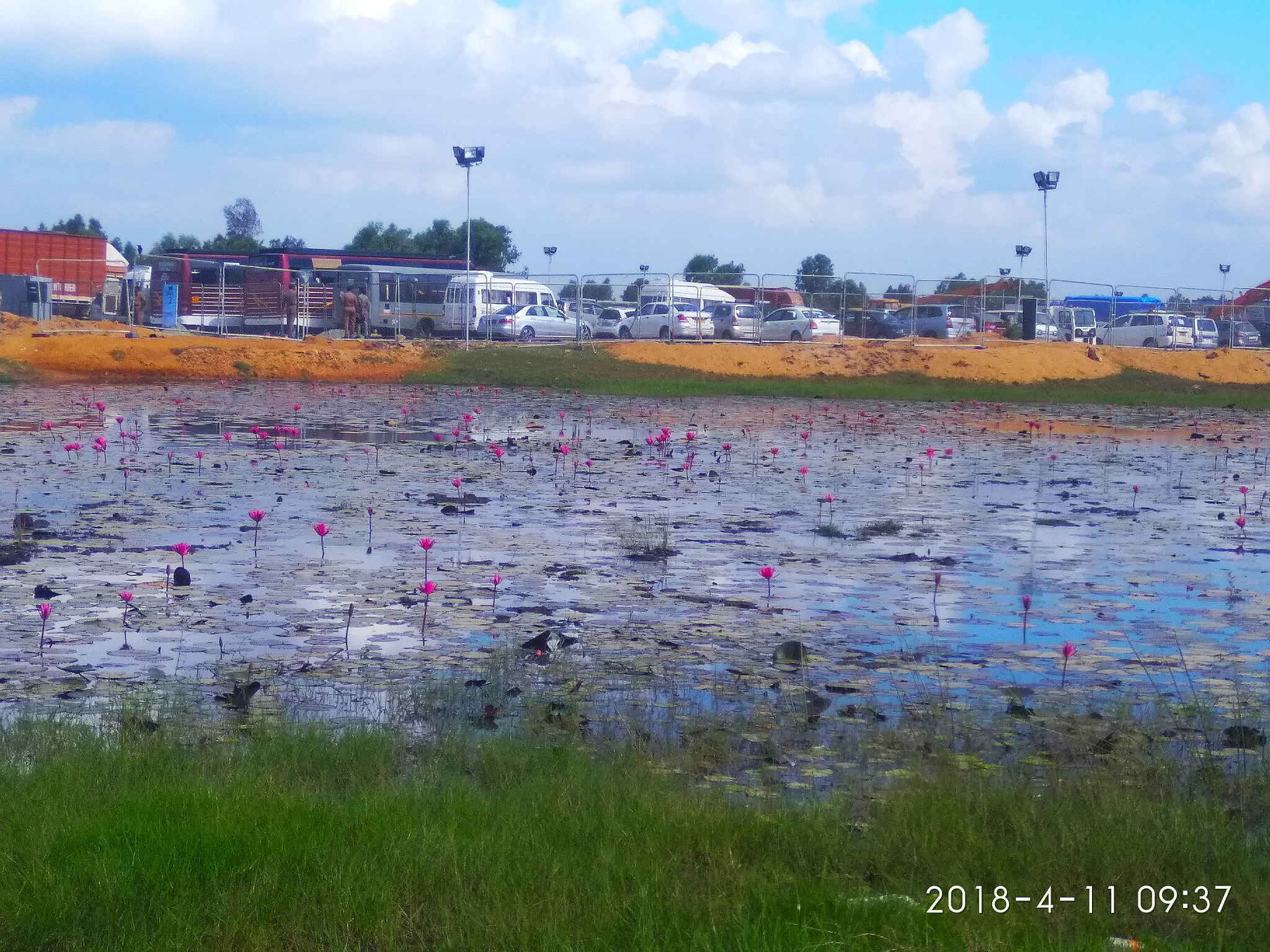 Xiaomi MI MAX sample photo. Water lily photography