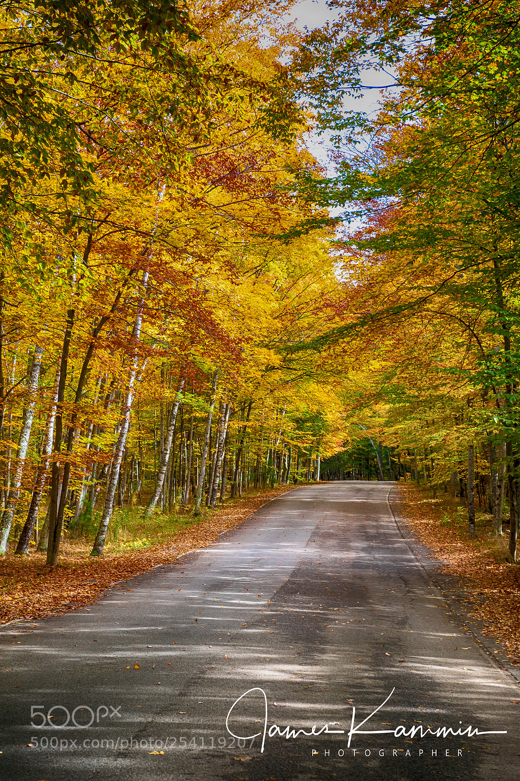 Nikon D700 sample photo. Country road photography
