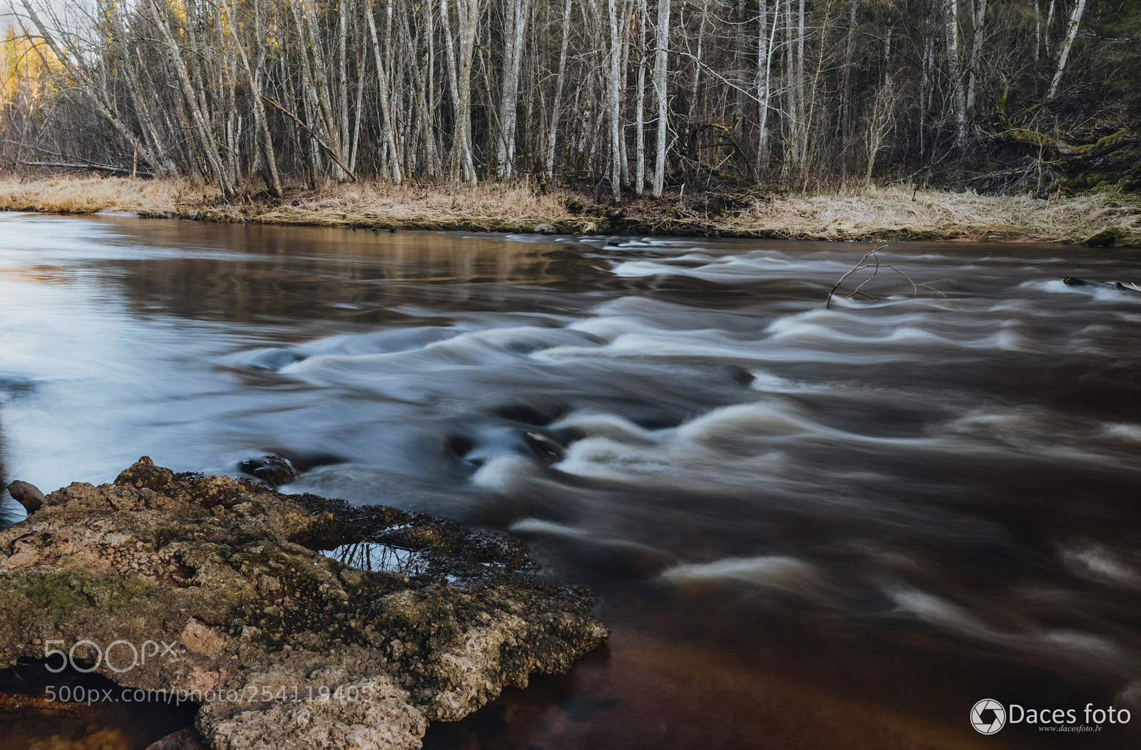 Sony SLT-A99V sample photo. Amata photography