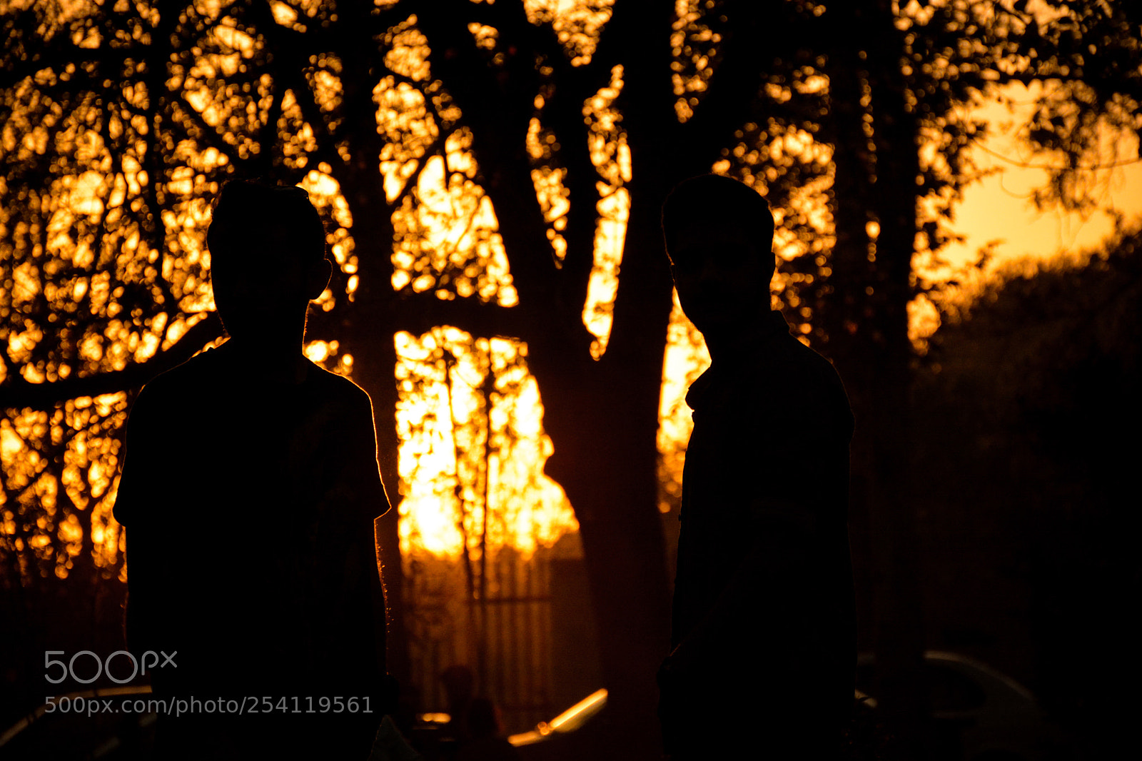 Nikon D7100 sample photo. Untitled photography
