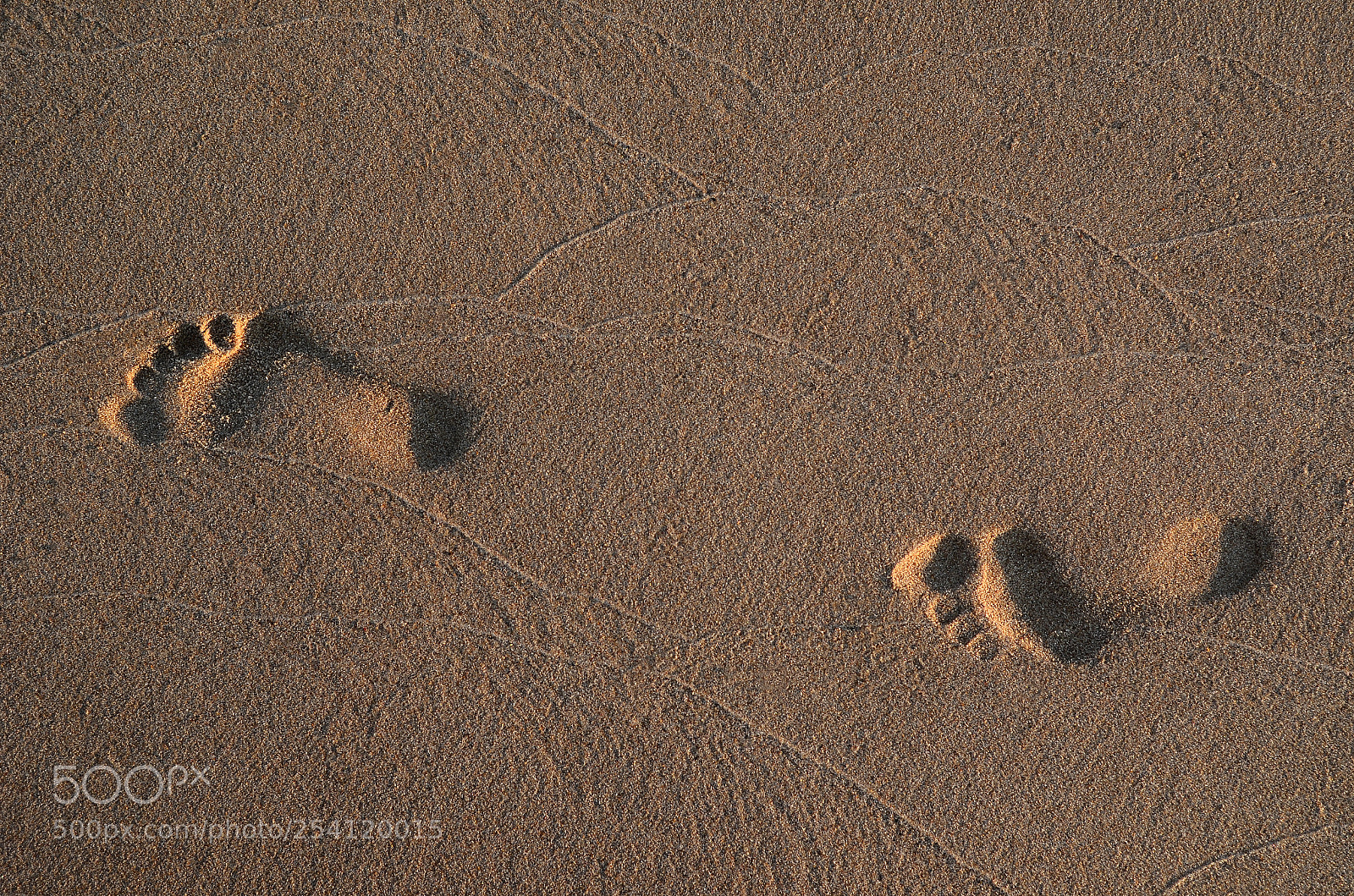 Nikon D7000 sample photo. Under the sand photography