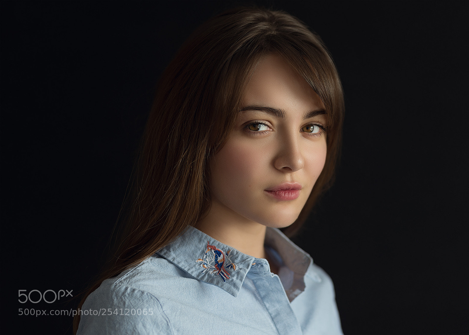 Nikon D610 sample photo. A girl has no photography