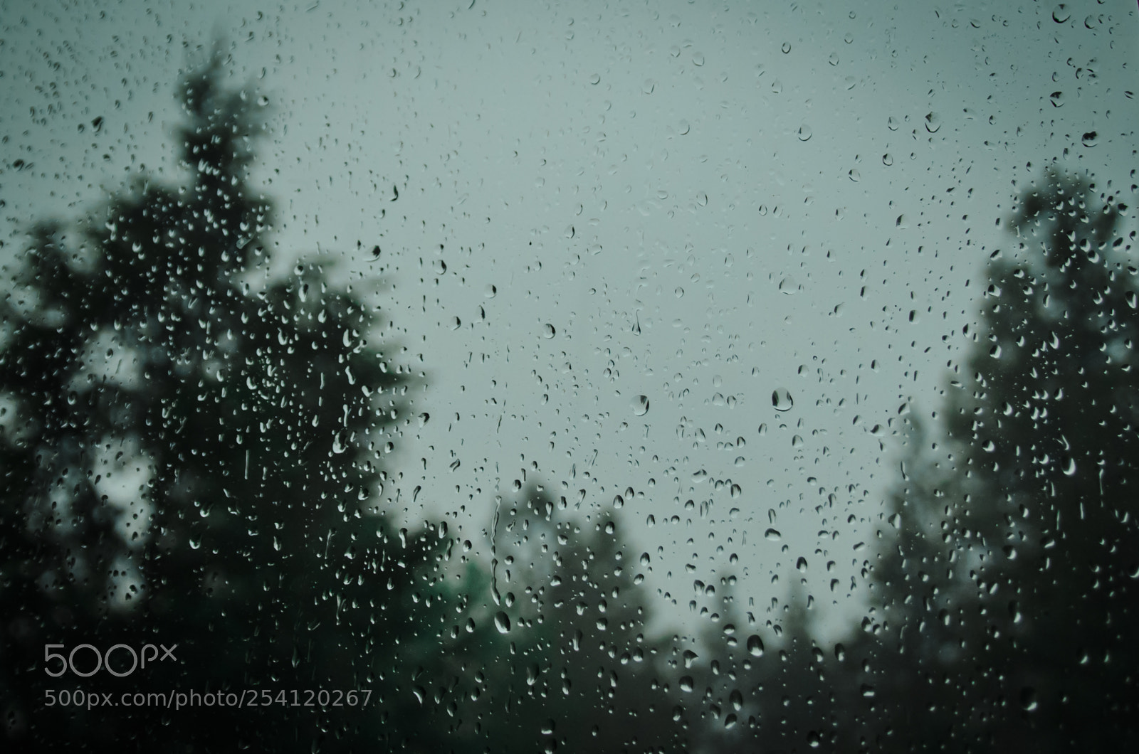 Nikon D5100 sample photo. Rainy mood photography