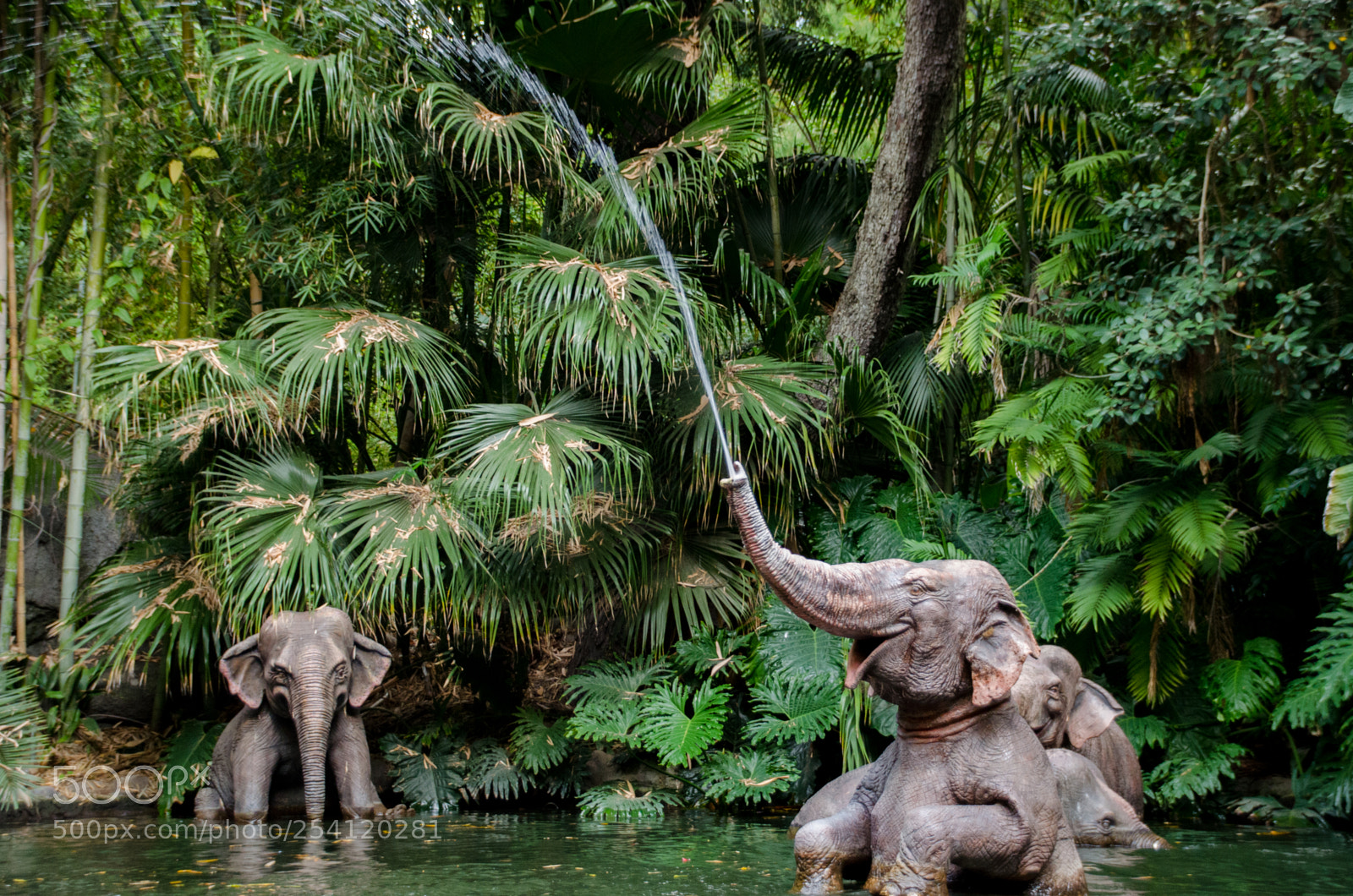 Nikon D5100 sample photo. Sacred elephant bathing pool photography