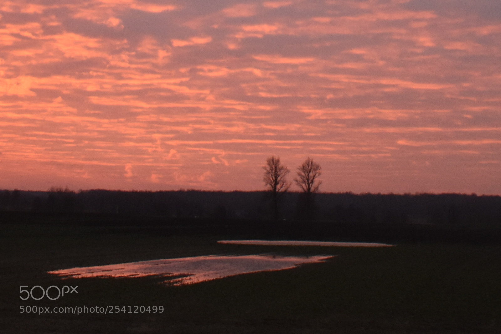 Nikon D3400 sample photo. Rytas kaime photography