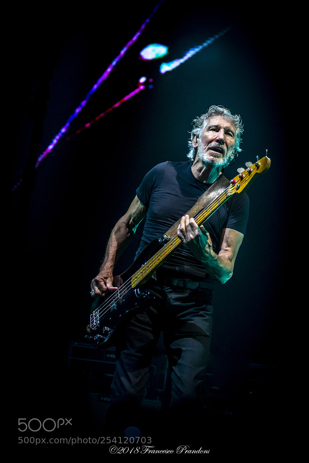 Nikon D5 sample photo. Foto concerto roger waters photography