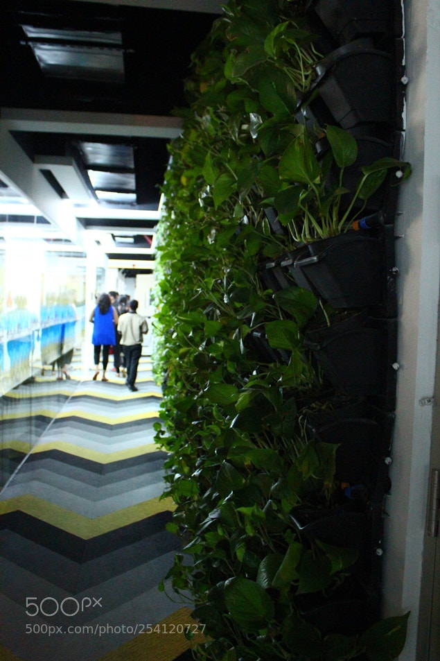 Canon EOS 600D (Rebel EOS T3i / EOS Kiss X5) sample photo. Smartworks bengaluru - modern photography