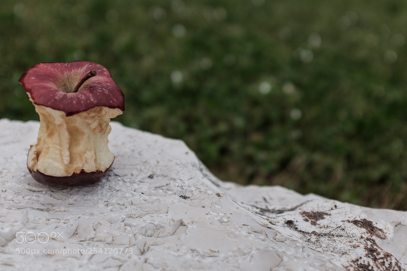 Fujifilm X100T sample photo. After newton photography
