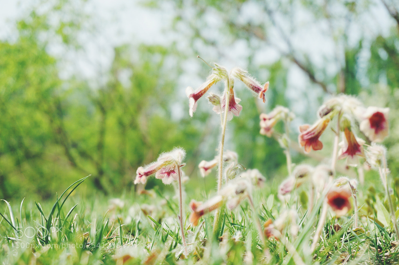 Sony a6000 sample photo. ∠※ photography