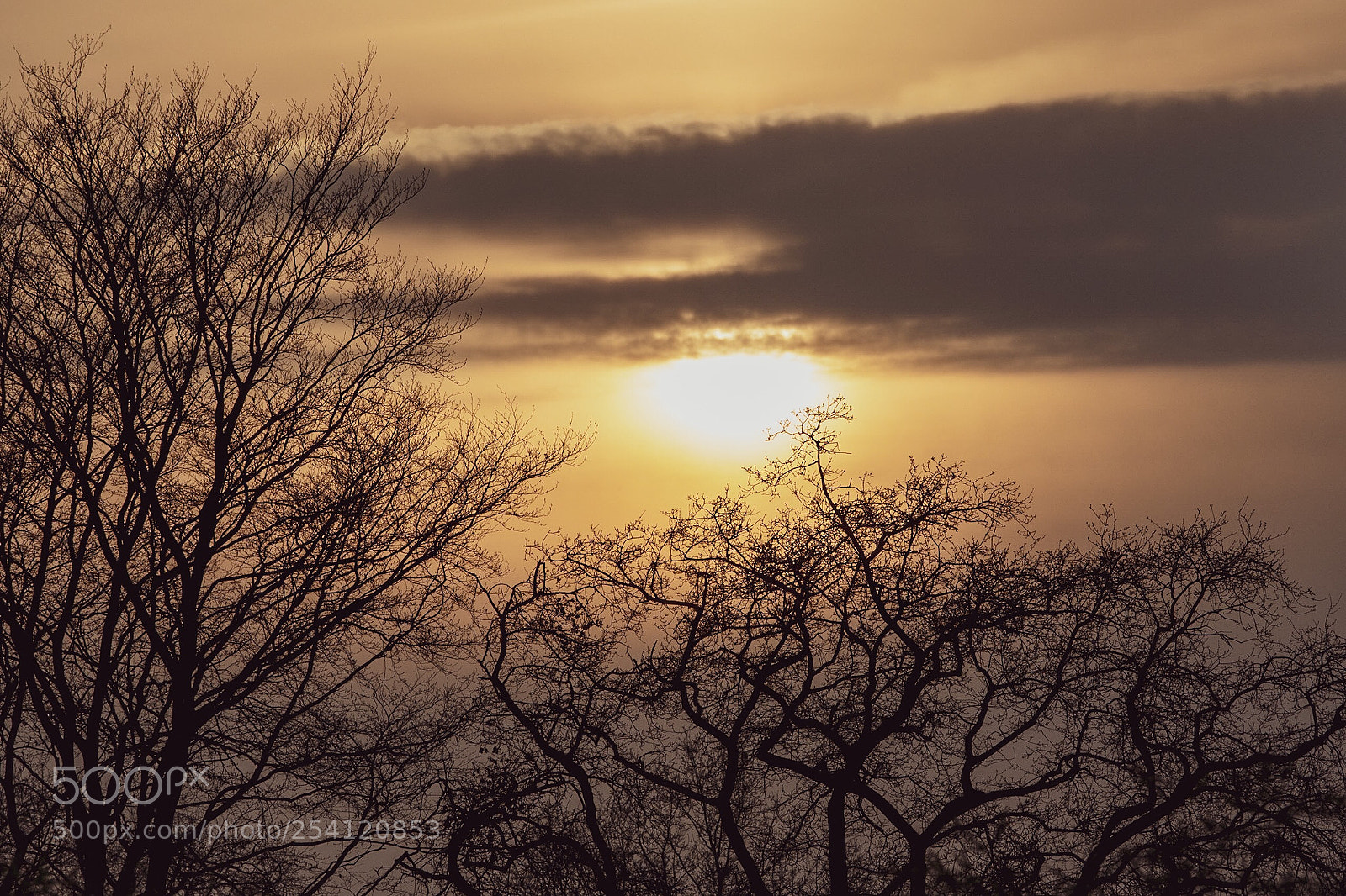 Nikon D7500 sample photo. Sundown  photography