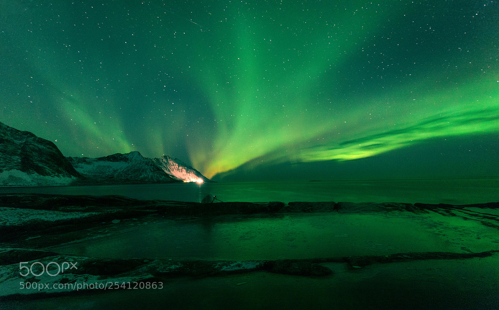 Canon EOS 5D sample photo. Aurora flower photography