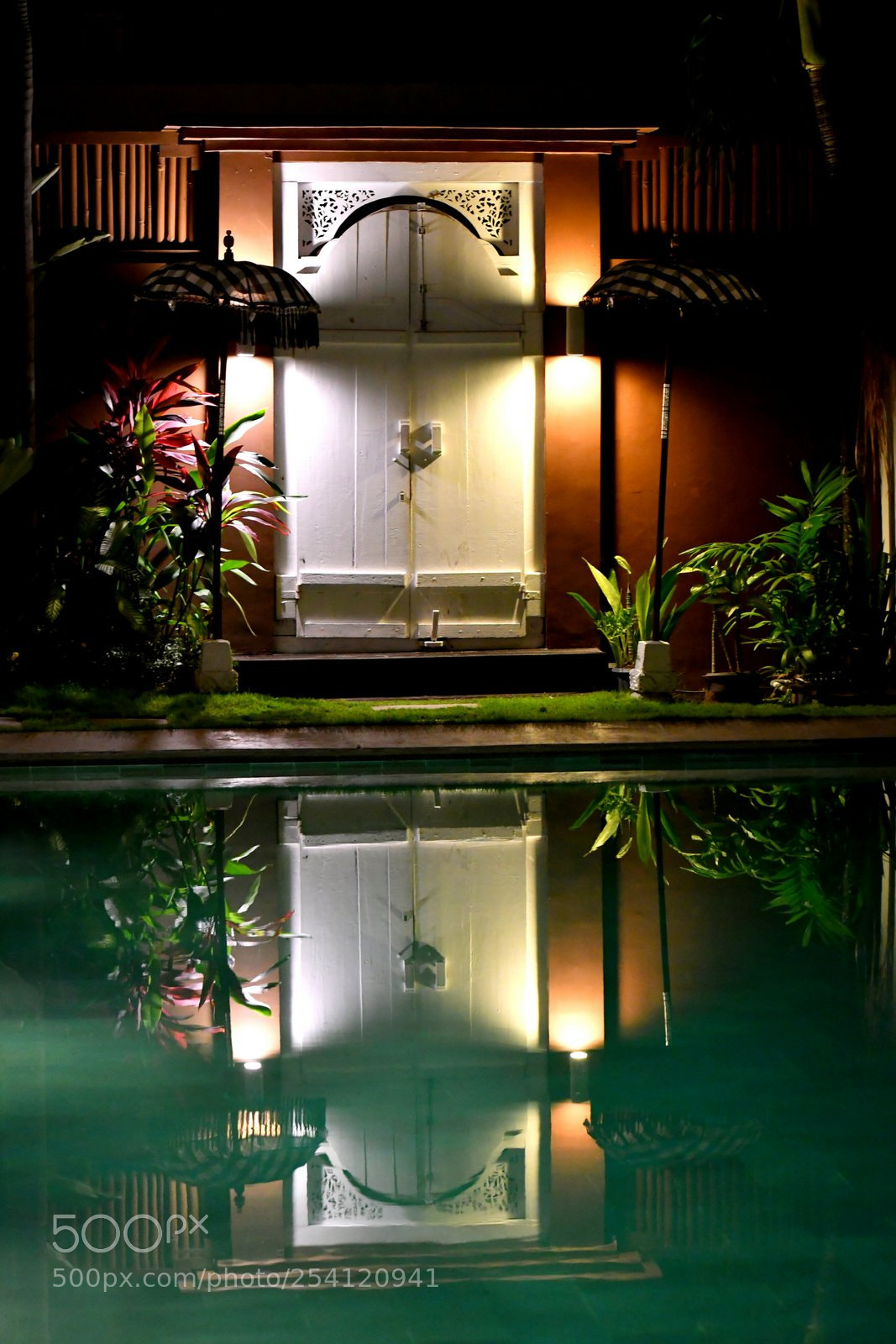 Nikon D500 sample photo. Untitled photography