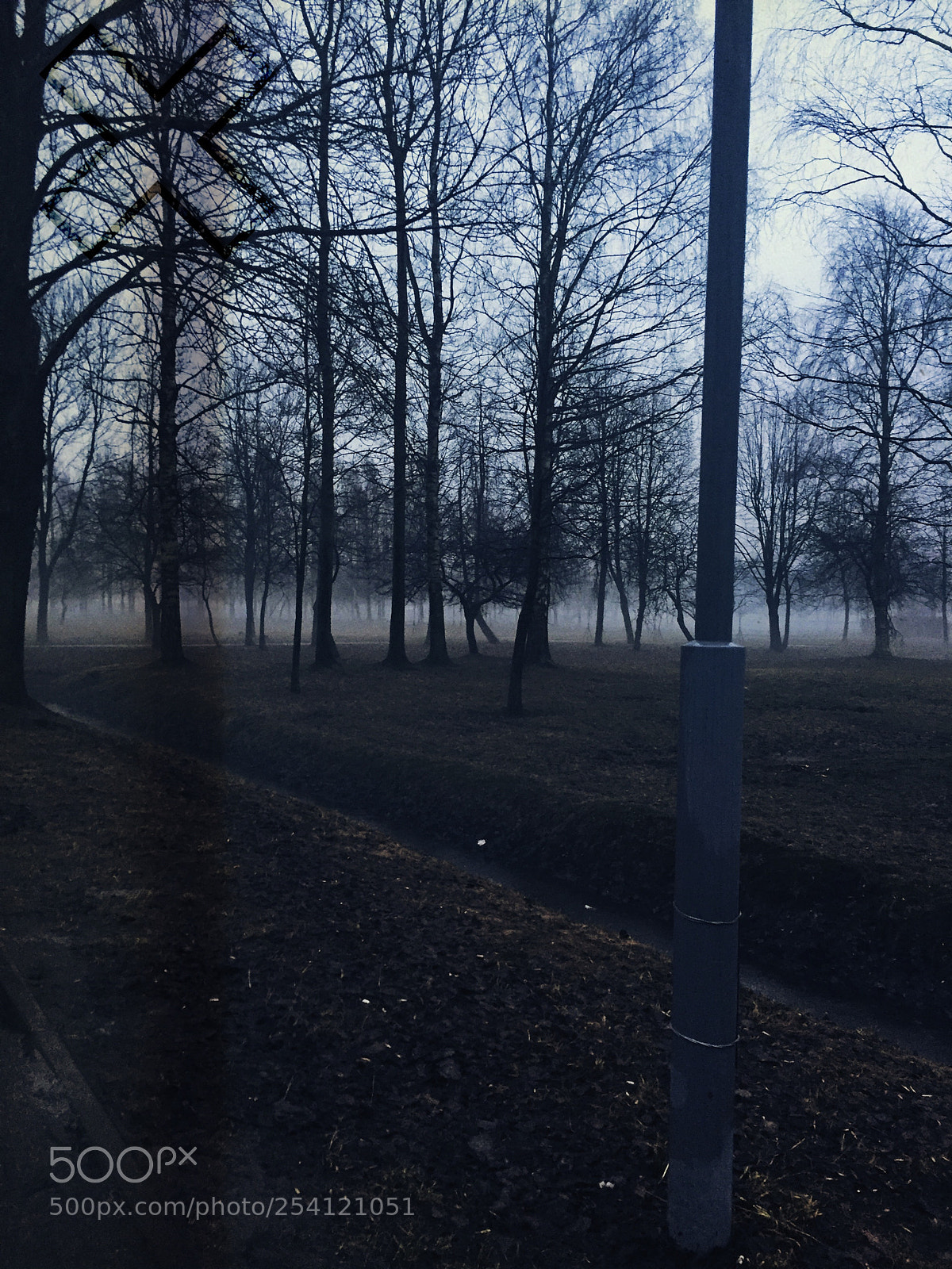 Apple iPhone 6 sample photo. Untitled photography