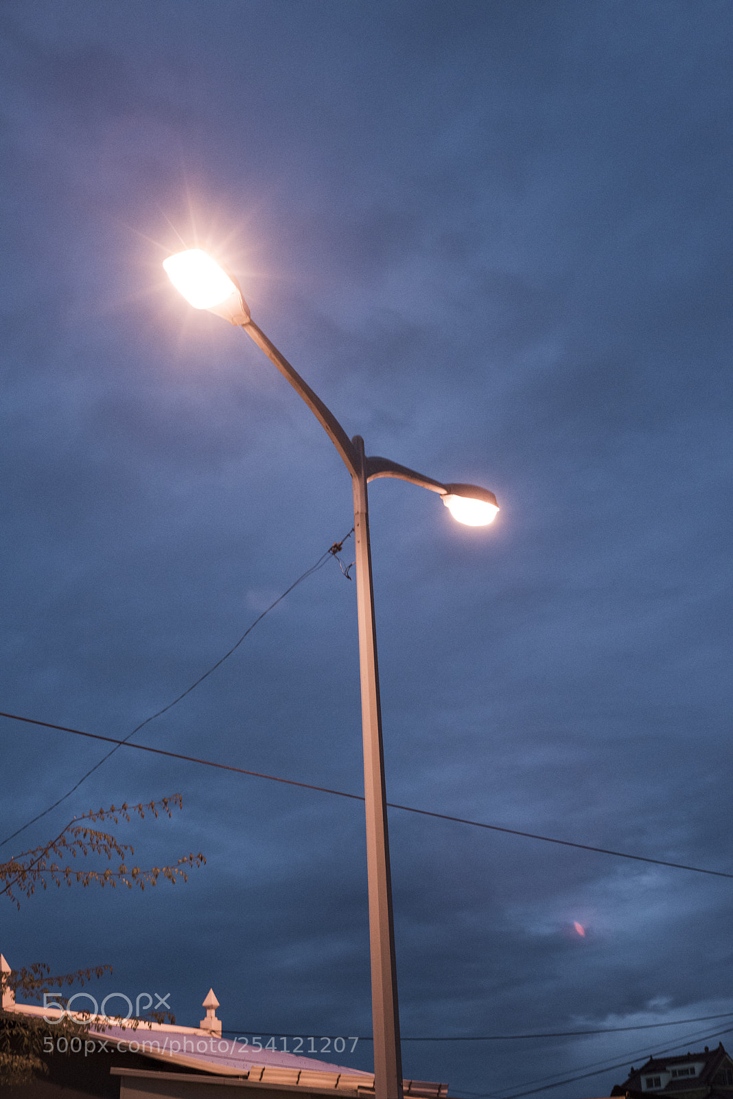 Nikon D810 sample photo. In a night 6 photography