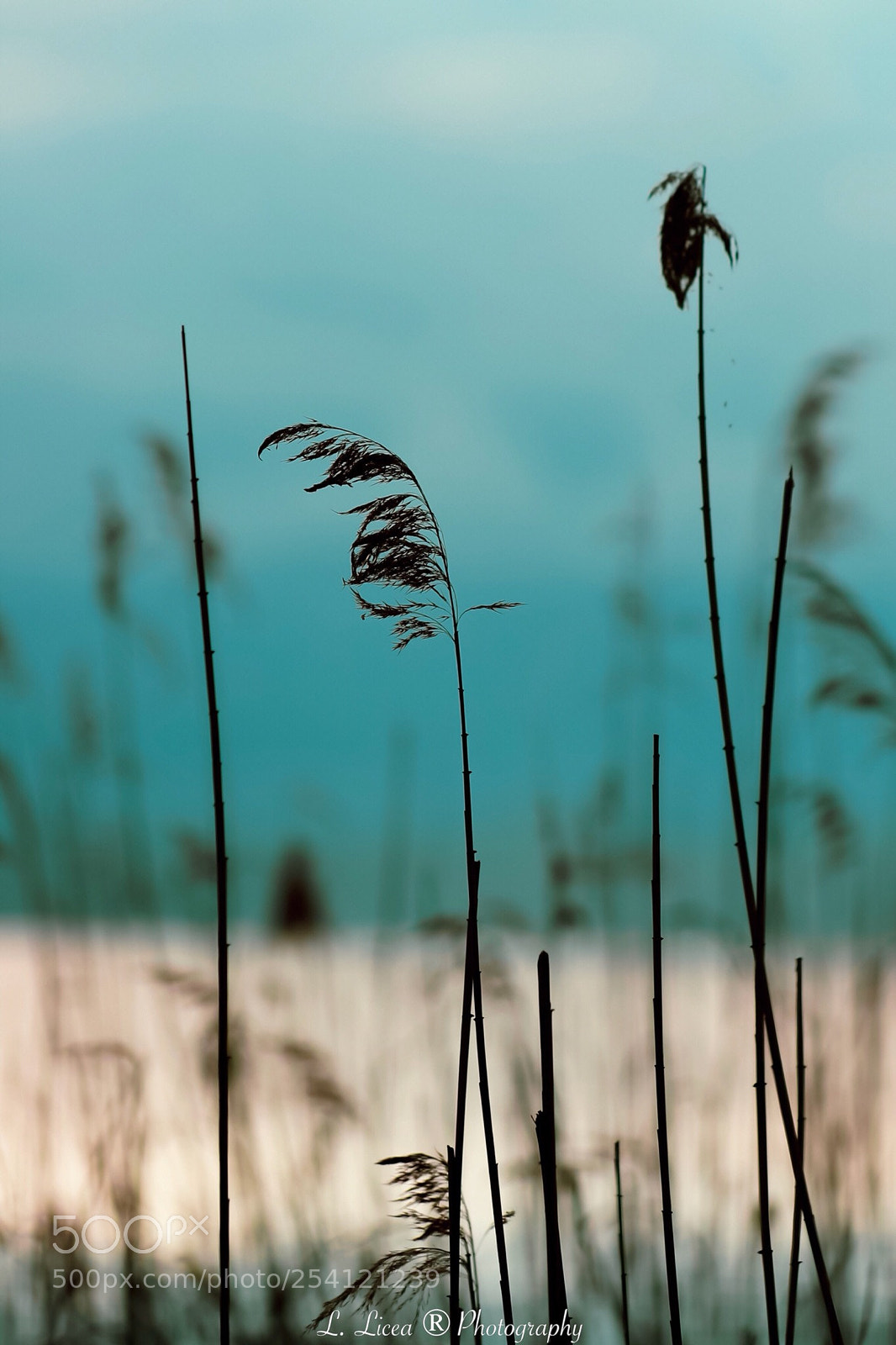 Canon EOS 6D Mark II sample photo. At horizon 117 photography