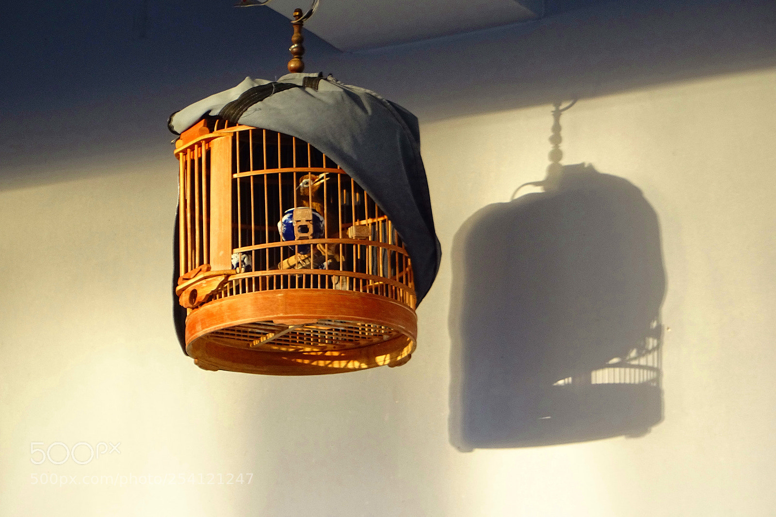 Sony DSC-HX60 sample photo. 笼中鸟 photography