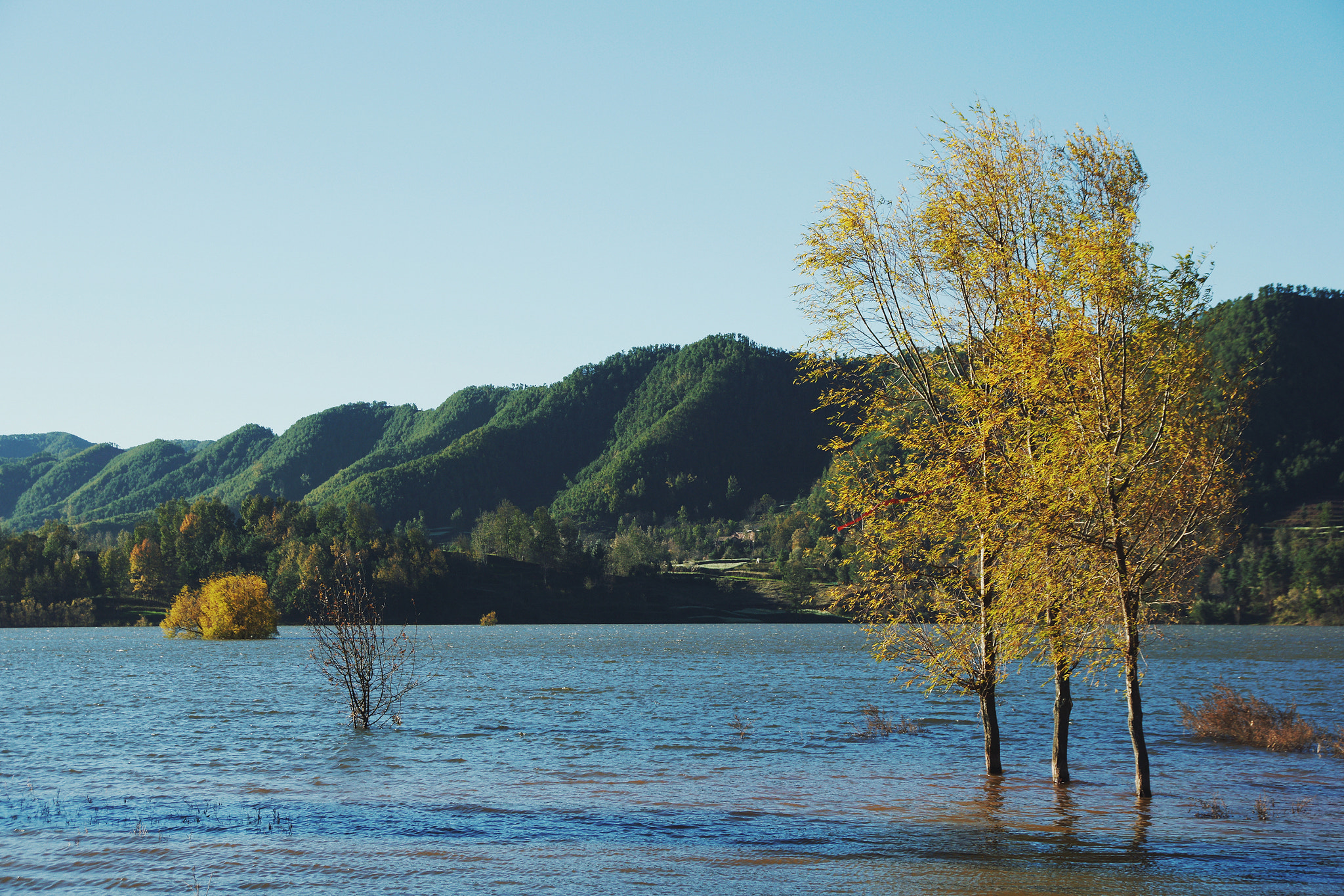 Tamron AF 28-105mm F4-5.6 [IF] sample photo. 景 photography