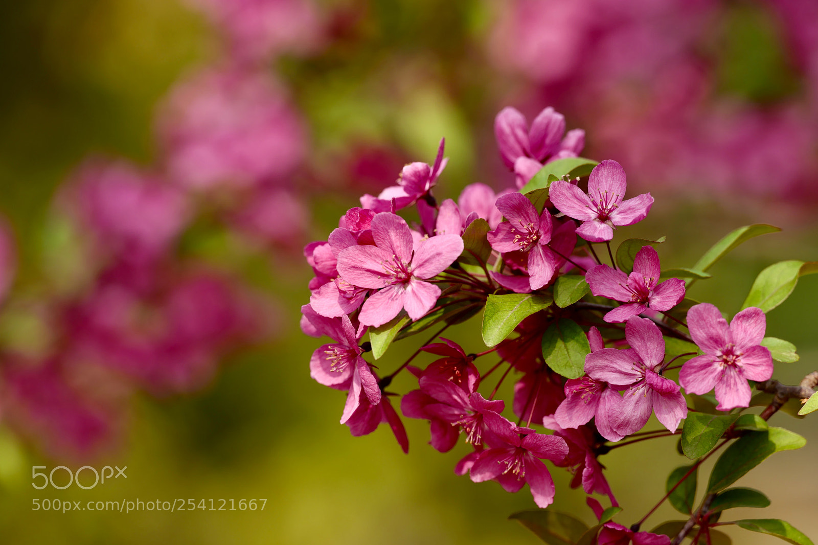 Leica SL (Typ 601) sample photo. Untitled photography