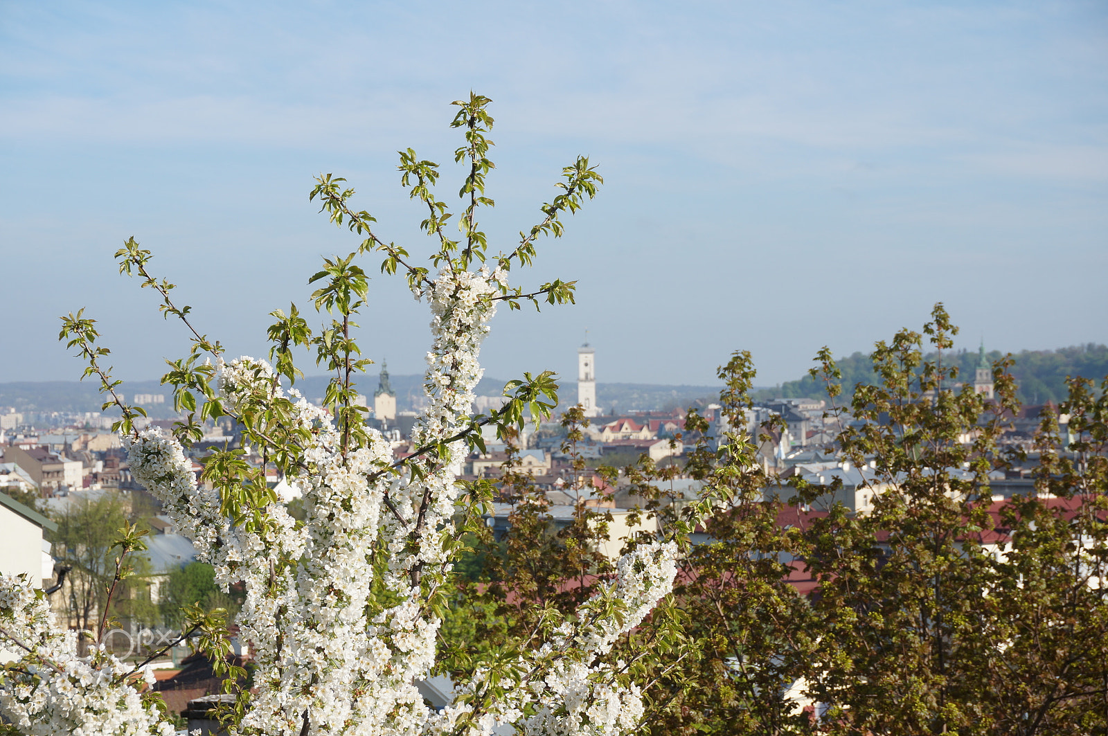 Sony Alpha NEX-5T sample photo. Good morning lviv photography