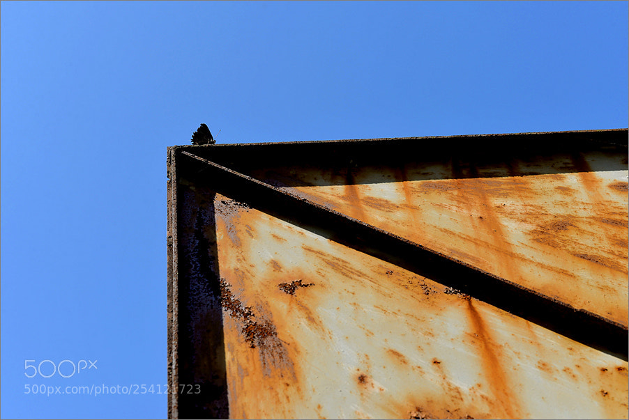 Nikon D610 sample photo. Butterfly effect photography