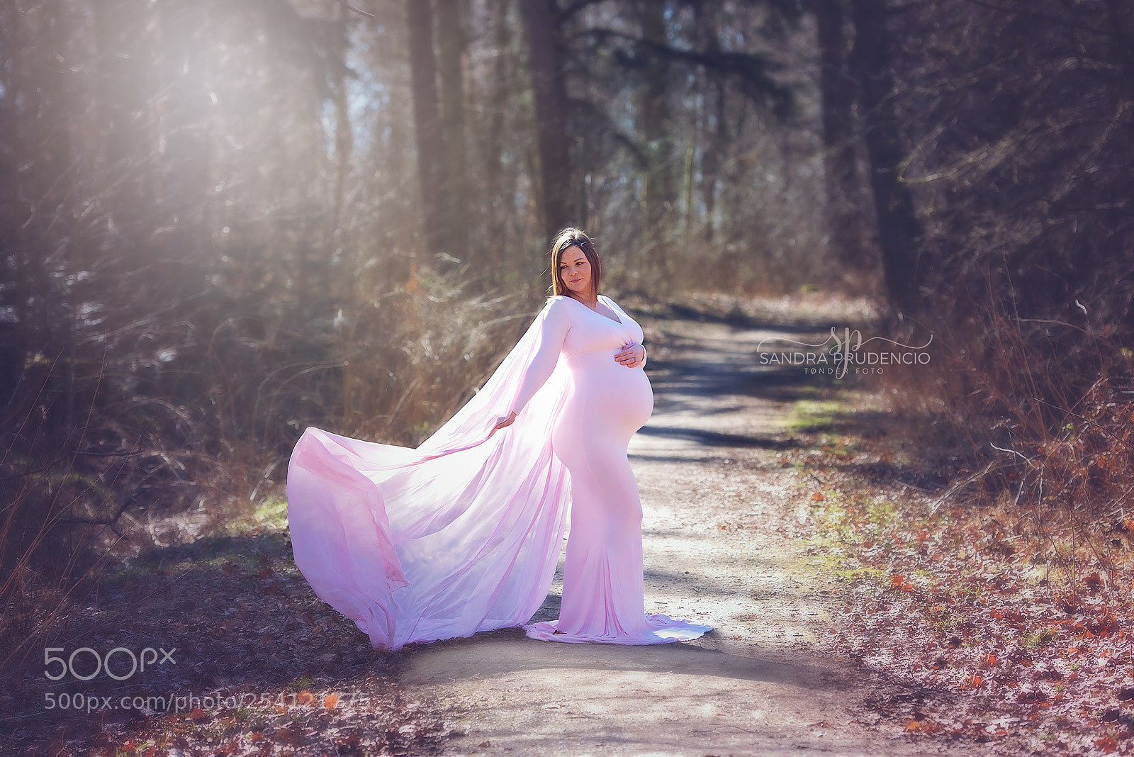 Nikon D800 sample photo. Ssp_2980_1.jpg photography