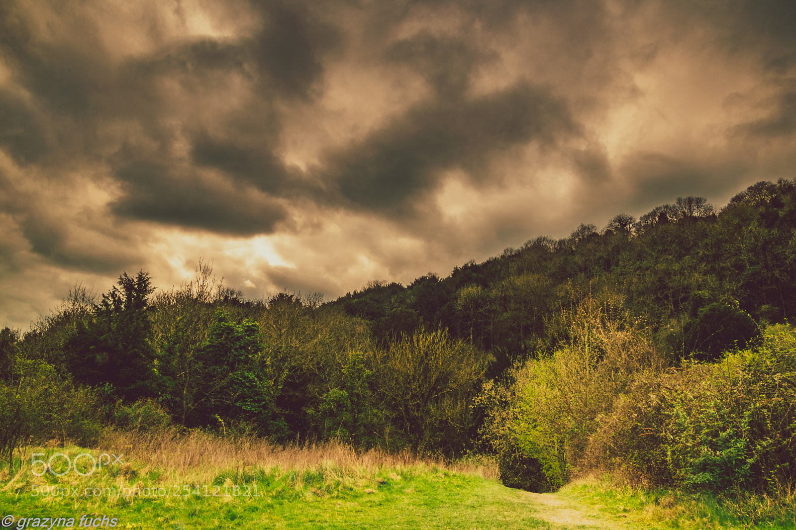 Nikon D3300 sample photo. Denbies walking photography