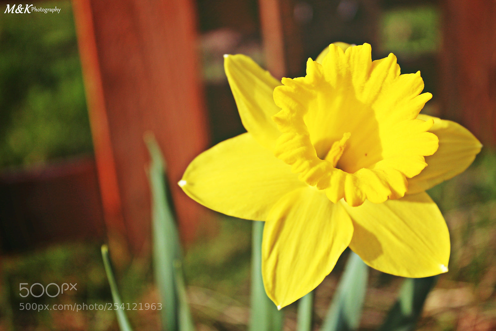 Canon EOS 1300D (EOS Rebel T6 / EOS Kiss X80) sample photo. Spring photography