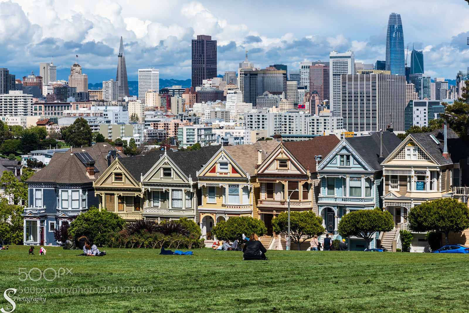 Nikon D810 sample photo. Painted ladies photography