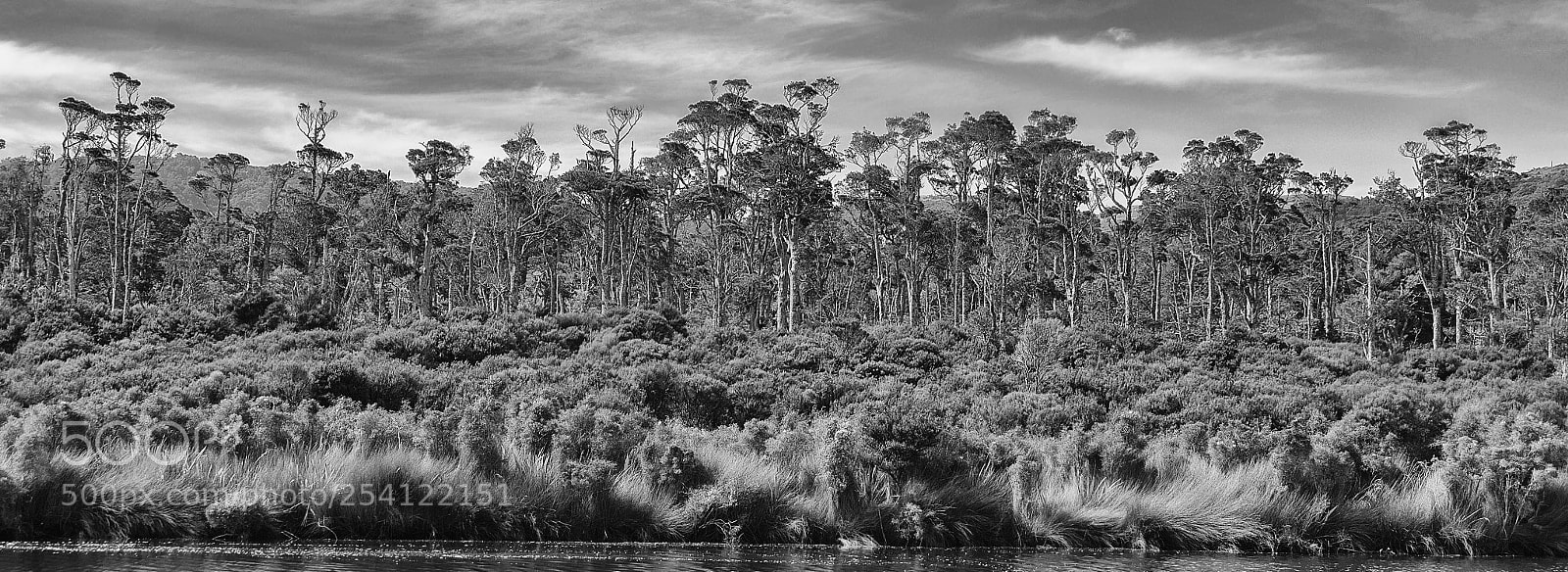 Canon EOS 1300D (EOS Rebel T6 / EOS Kiss X80) sample photo. The catlins photography