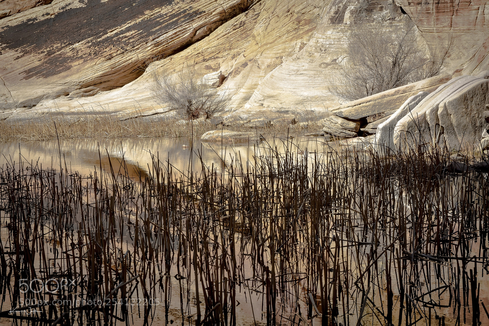 Nikon D7200 sample photo. Red rock hike1 photography