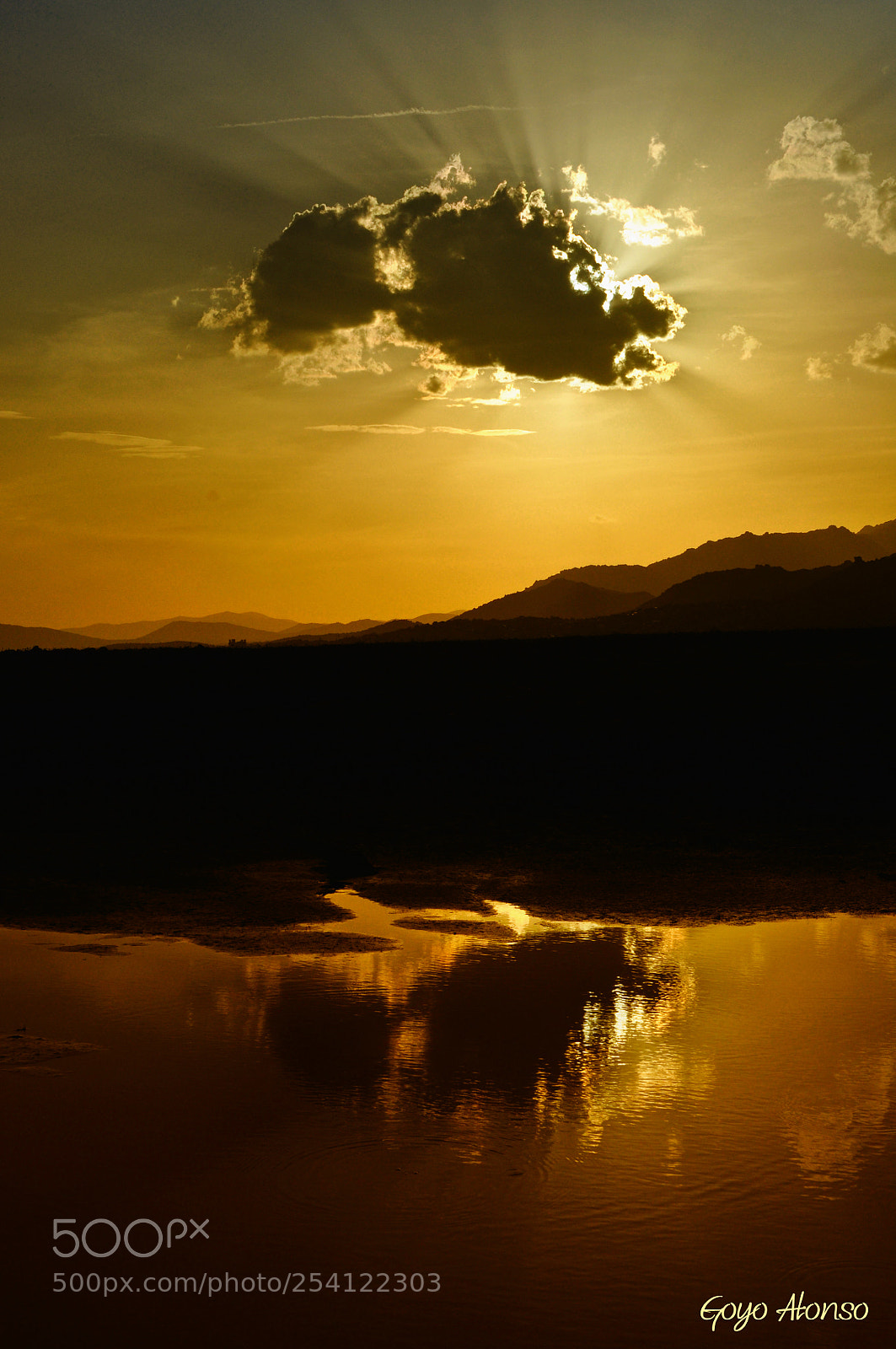 Nikon D5000 sample photo. Luces photography