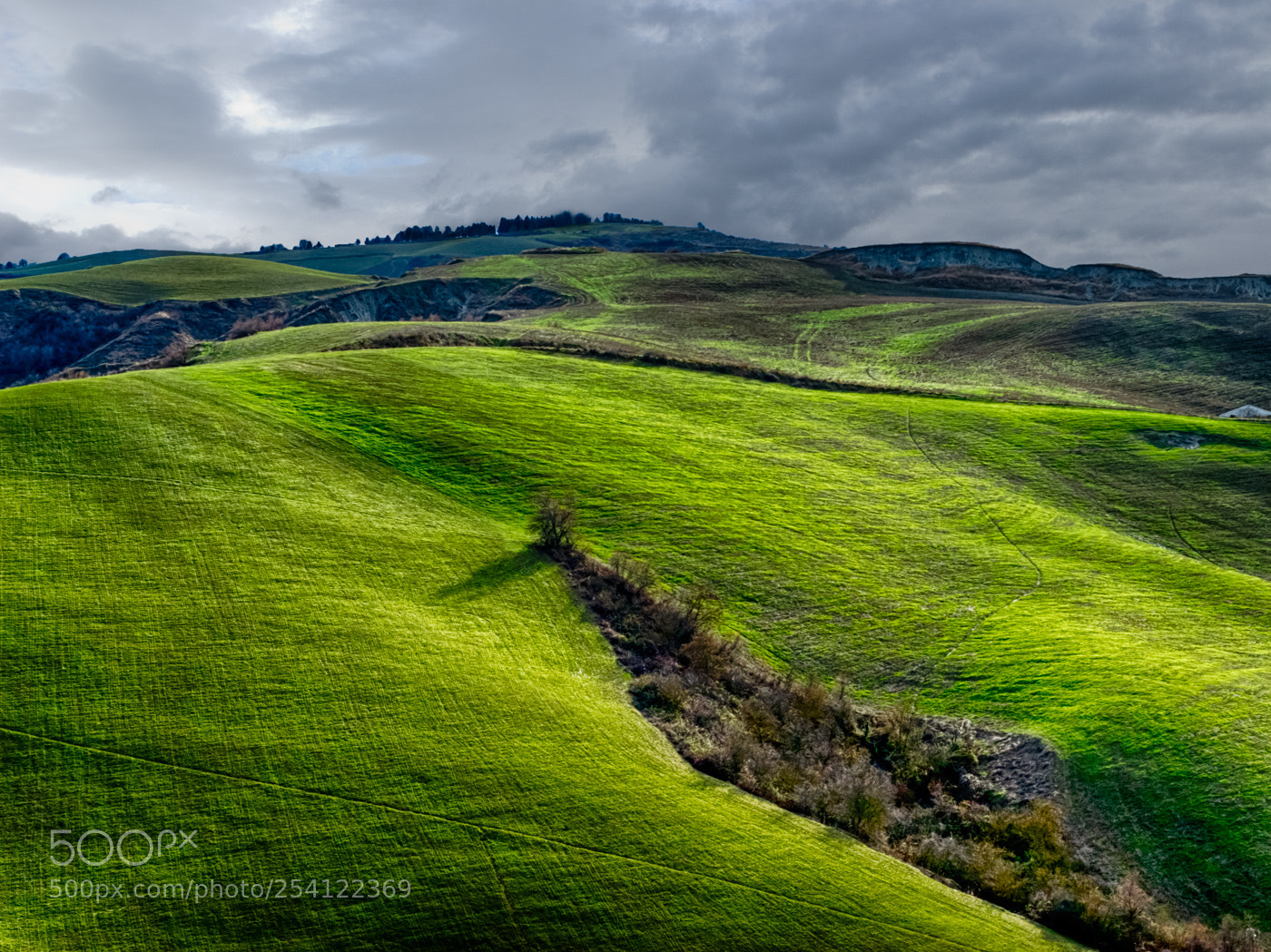 Nikon D200 sample photo. Campagna photography