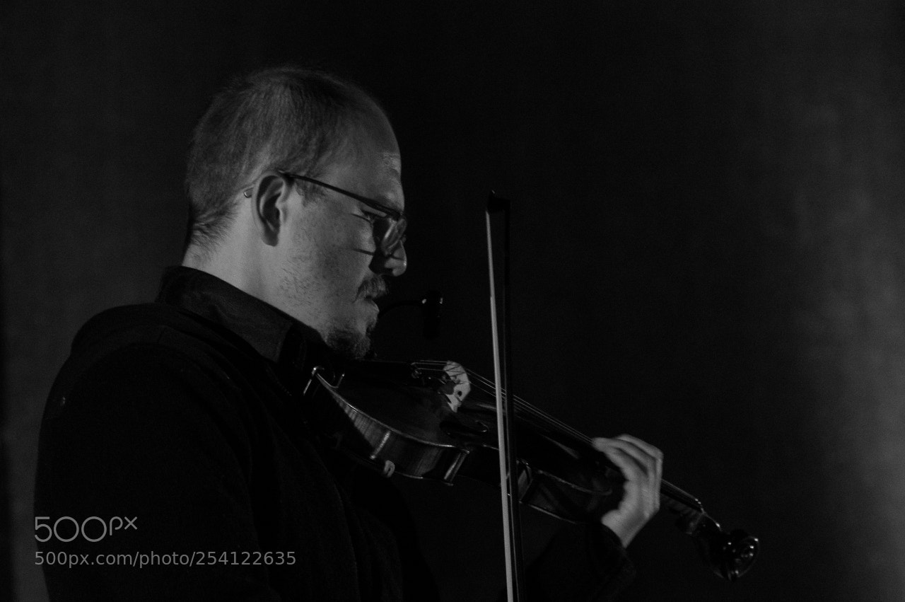 Pentax K-3 sample photo. Violin photography