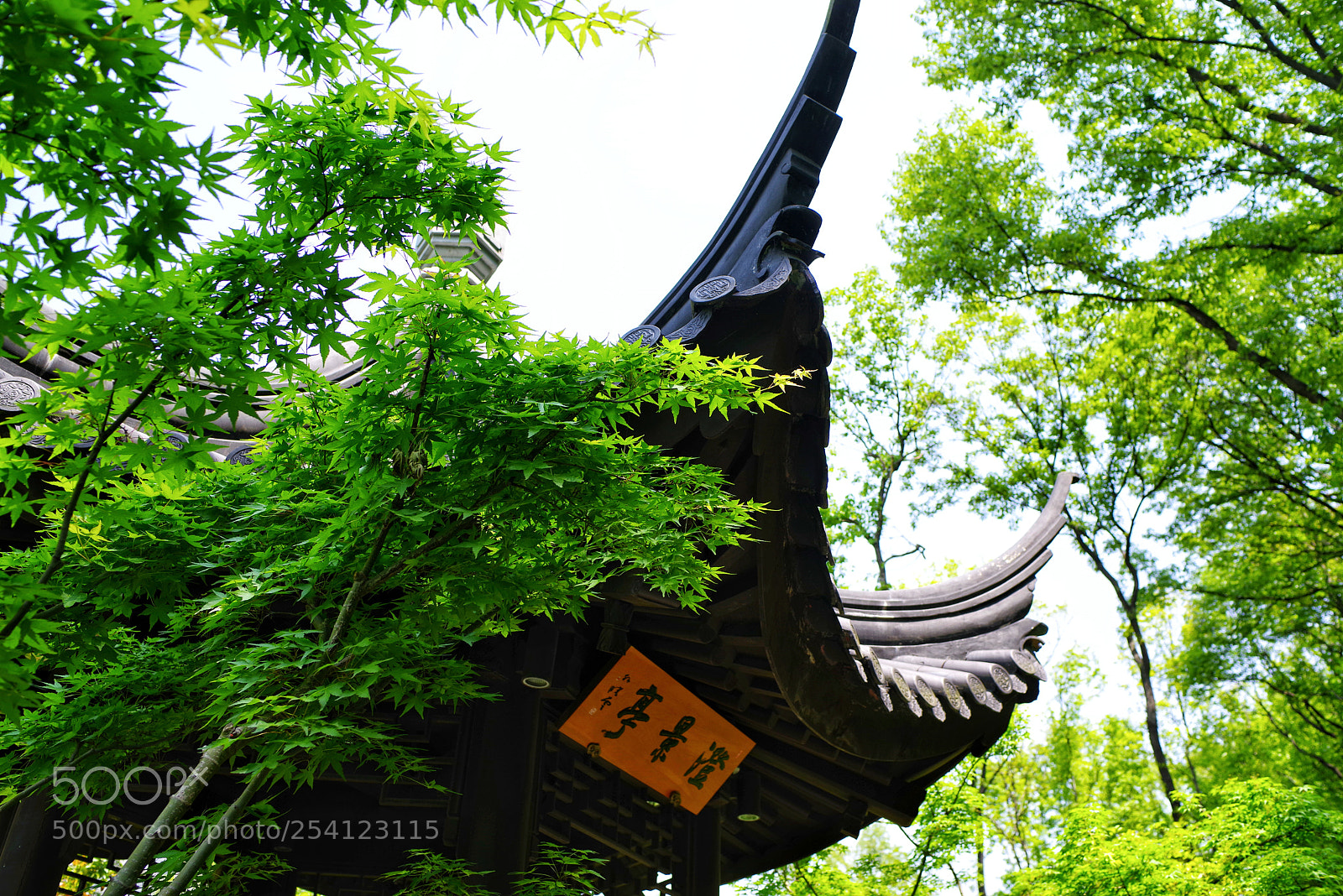 Pentax K-1 sample photo. Untitled photography