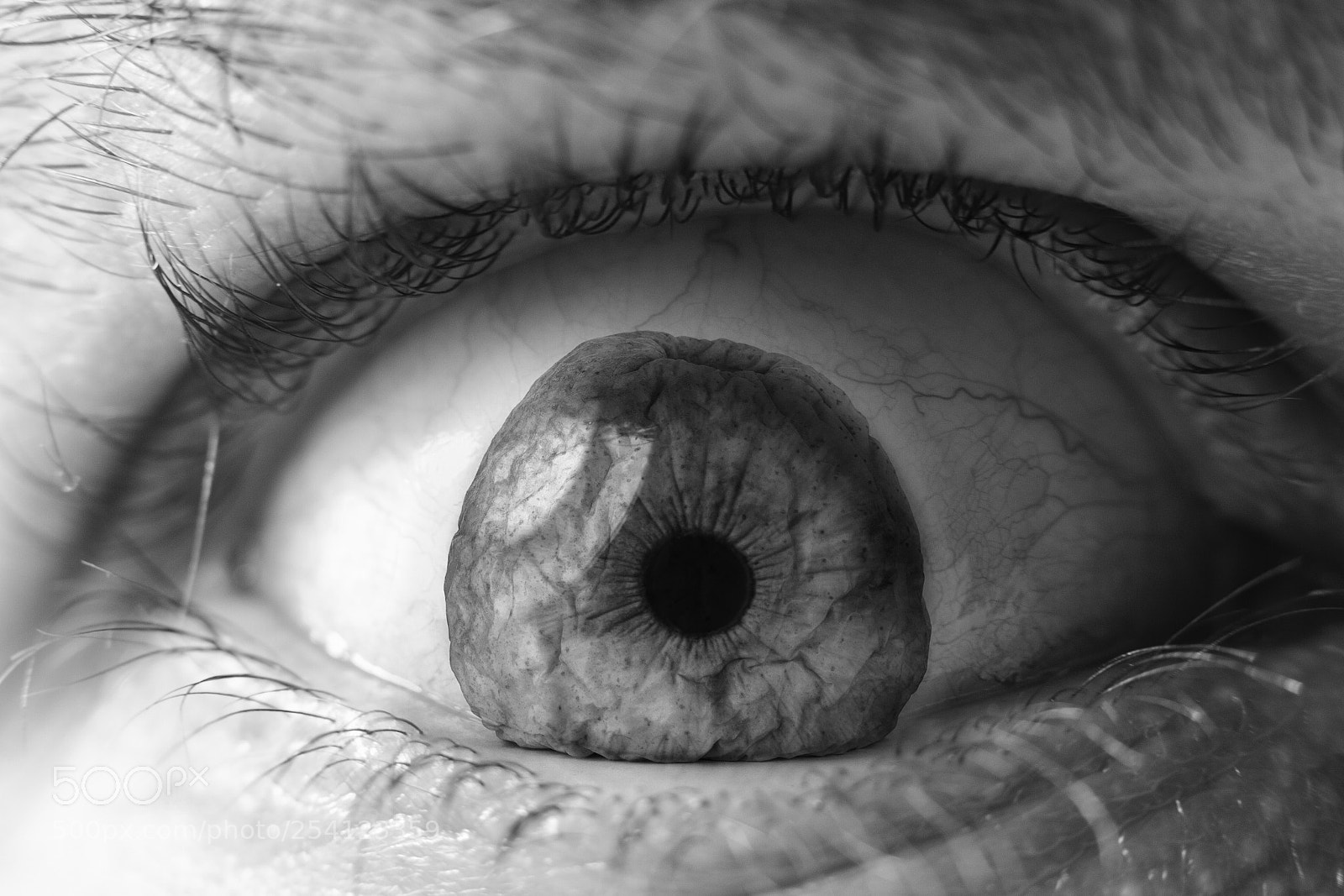 Canon EOS 7D sample photo. Ephemeral visualizations | epple photography