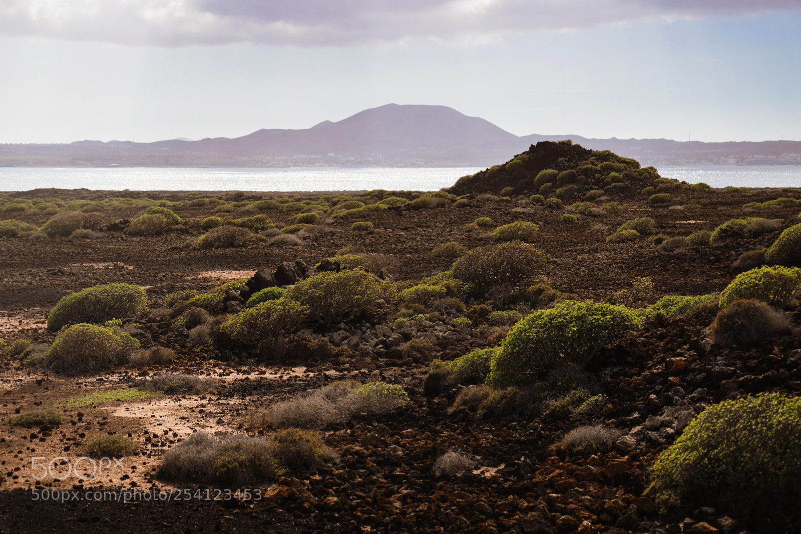 Nikon D800 sample photo. Sea view photography