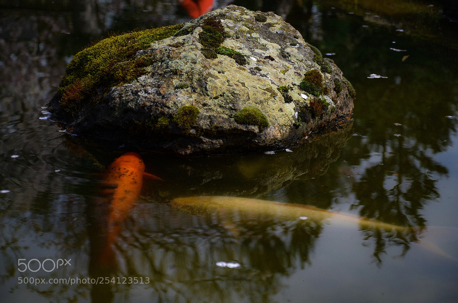 Nikon D7000 sample photo. Stone photography